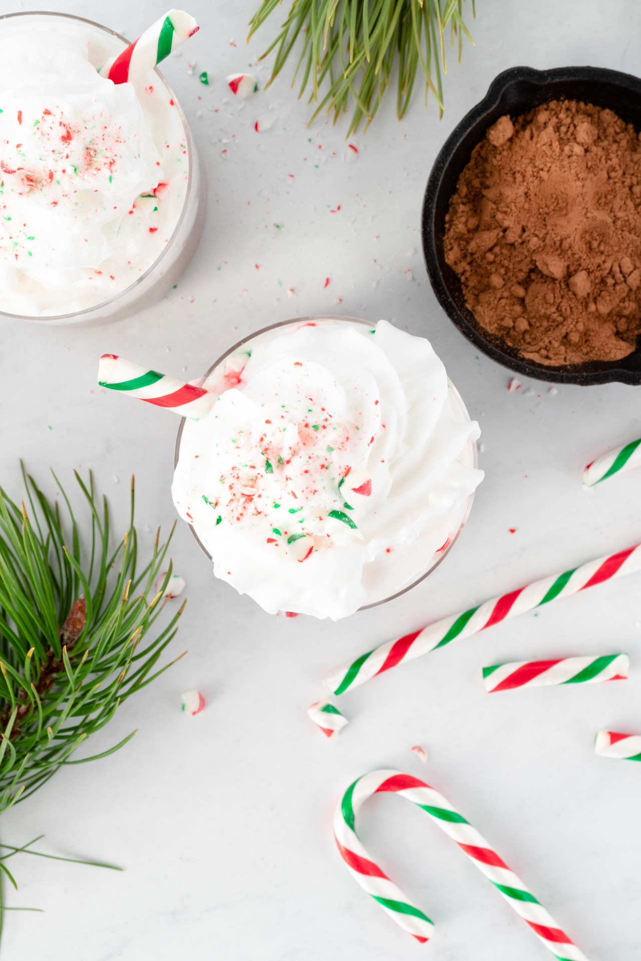 Peppermint Hot Chocolate Chia Pudding with raw cacao