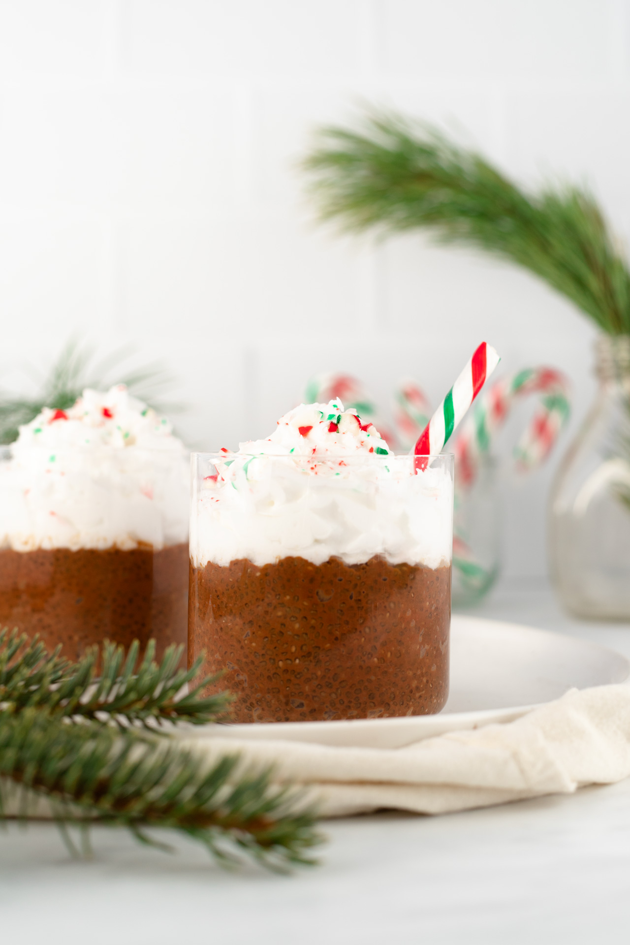 Peppermint Hot Chocolate Chia Pudding
